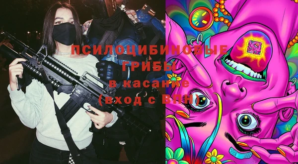 гашик Абинск