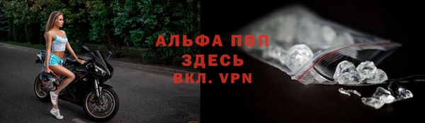 гашик Абинск