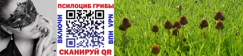 Псилоцибиновые грибы прущие грибы ссылка на мегу ТОР Алатырь цена наркотик